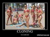 funny picture