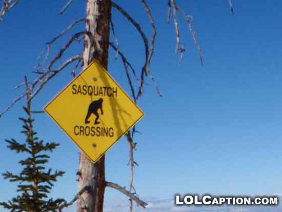http://www.lolcaption.com/wp-content/uploads/2010/09/lolcaption-funny-signs-sasquatch-crossing-strange-sign.jpg