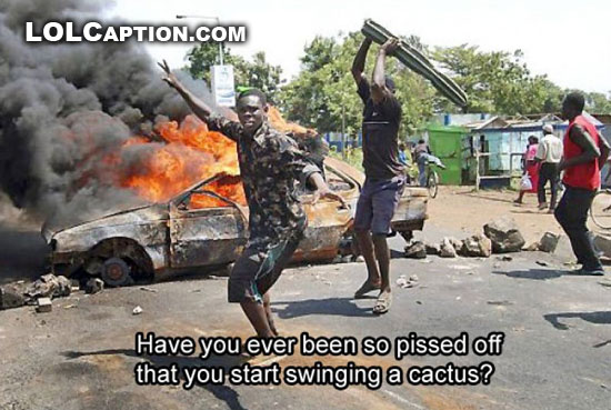 lolcaption-funny-demotivational-posters-so-pissed-off-swinging-cactus.jpg
